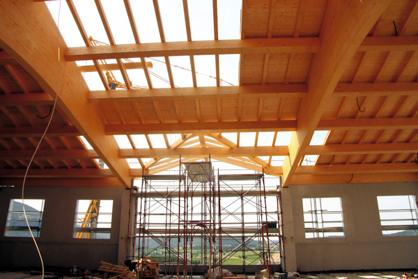 Progettazione tetto in legno lamellare cantina vinicola for Tetti in legno lamellare particolari costruttivi